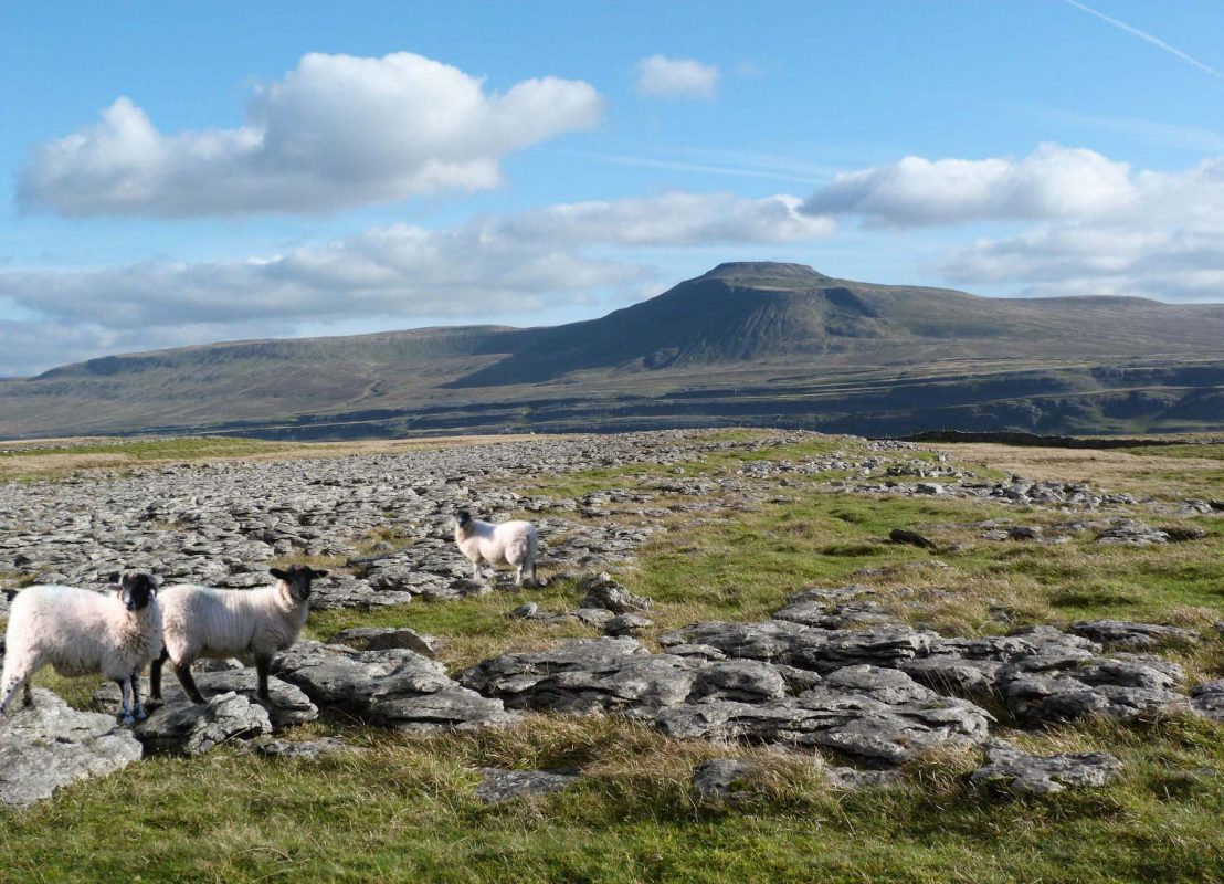 Outdoor Gear l Hiking Gear I iZarin