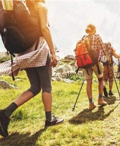 Nordic Walking Poles